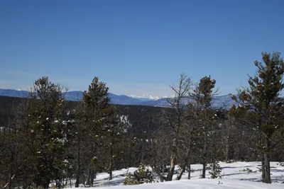 DSC_4901 (Large).JPG